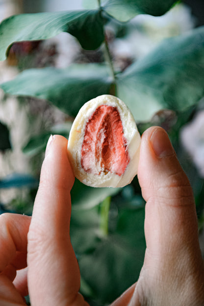 liofilizuotos braskes baltajame sokolade